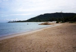 Tanjung Pasona